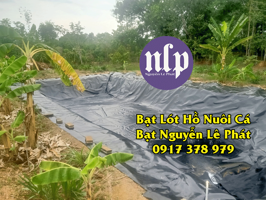 Bạt Lót Hồ Lâm Đồng