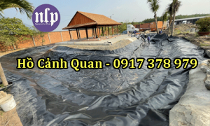 Bạt Lót Hồ Chứa Nước HDPE