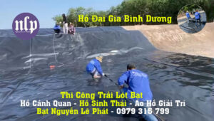 Bạt HDPE 0.3mm giá bao nhiêu?