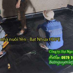 Bạt lót sàn nhà nuôi yến