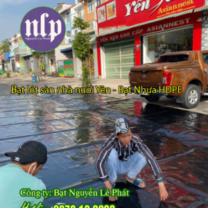 Bạt lót sàn nhà nuôi yến