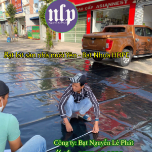 Bạt lót sàn nhà nuôi yến