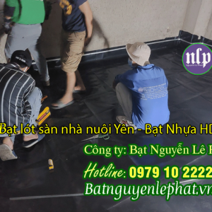 Thi công Bạt lót sàn nhà nuôi yến