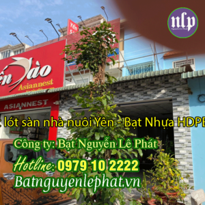 Thi công Bạt lót sàn nhà nuôi yến