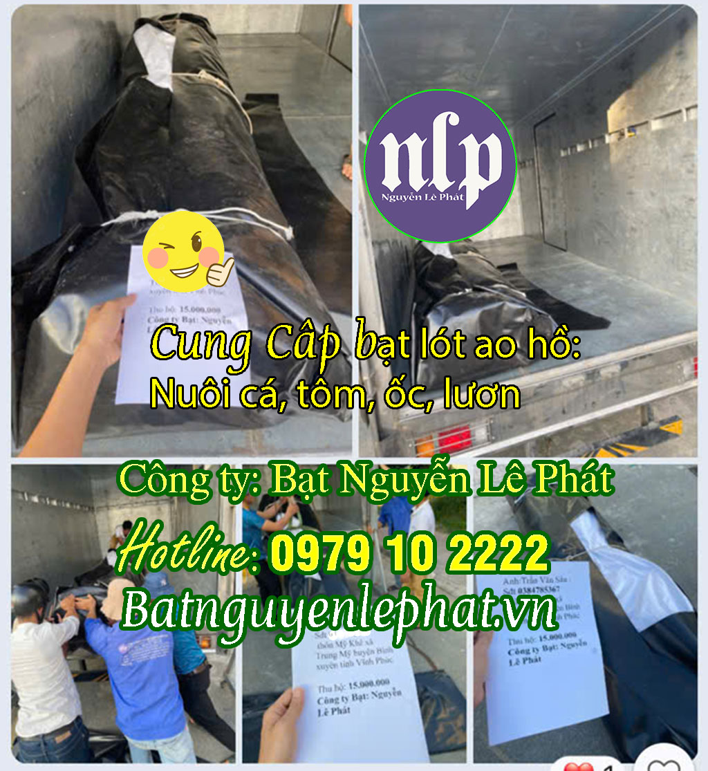 Báo Giá Bạt HDPE Lót Ao Hồ Tại Quảng Nam