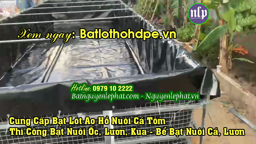 Bể bạt nuôi cá tôm