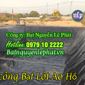 Địa Chỉ Cung Cấp Bạt Lót Hồ Chứa Nước Giá Rẻ tại Dĩ An