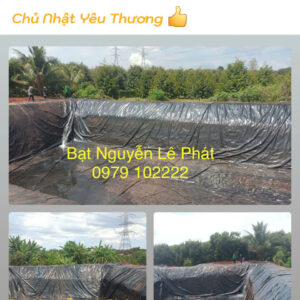 Bạt Nhựa HDPE Lót Ao Hồ Chứa Nước Tưới Cây, Nuôi Cá Tôm tại Điện Biên