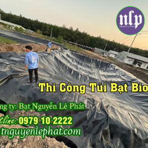 Thi công Hầm chứa khi Bigoas hộ gia đình tại Buôn Ma Thuột, giá rẻ