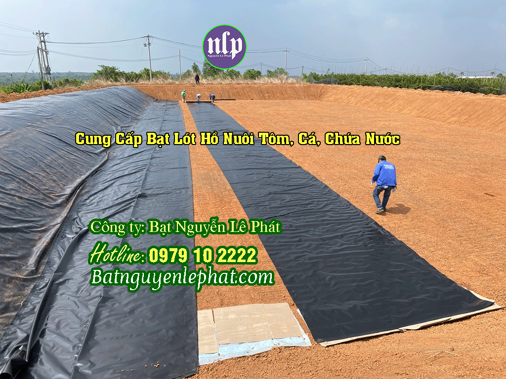 Bạt Lót Ao Hồ Nuôi Cá Tại Cây Số 9, Đồng Xoài