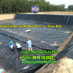Cung Cấp Bạt Lót Ao Hồ Nuôi Cá Tại Cây Số 9, Đồng Xoài