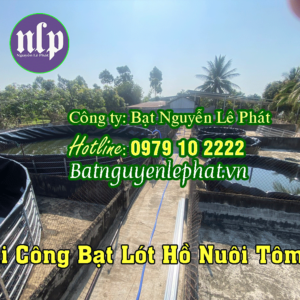 Bể Bạt Lót Ao Hồ Chứa Nước Hậu Giang