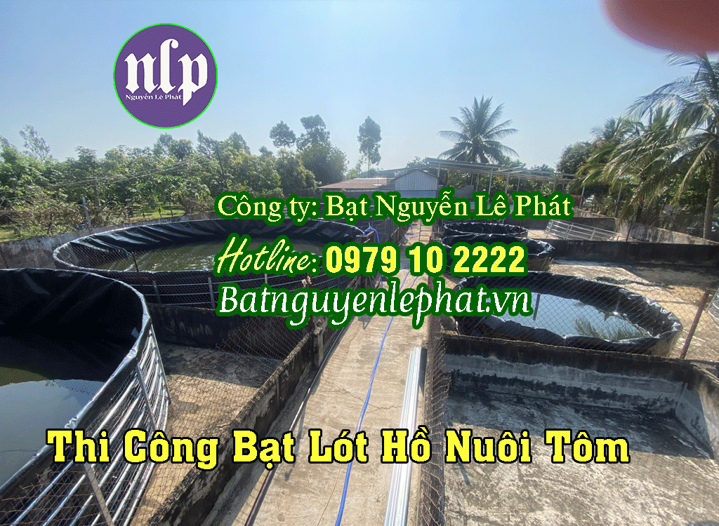 bạt lót hồ tưới tiêu nông nghiệp