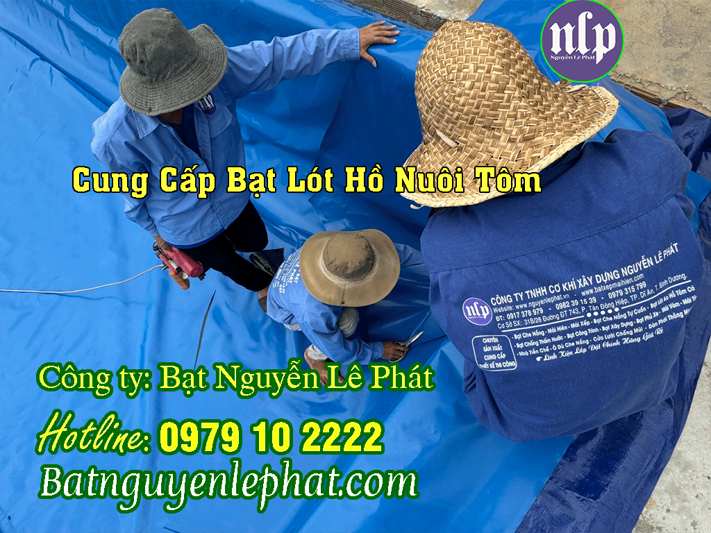 Bạt lót ao hồ chứa nước tưới tiêu tại Đồng Xoài - Bình Phước Bạt lót ao hồ chứa nước tưới tiêu tại Đồng Xoài - Bình Phước
