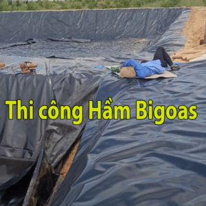 Cung Cấp Thi Công Túi Bạt Hầm Biogas Trang Trại Gà Vịt Heo tại Nghệ An