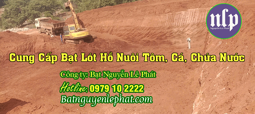 Thi công Bạt Lót Ao Hồ Nuôi Cá Tại Cây Số 9, Đồng Xoài