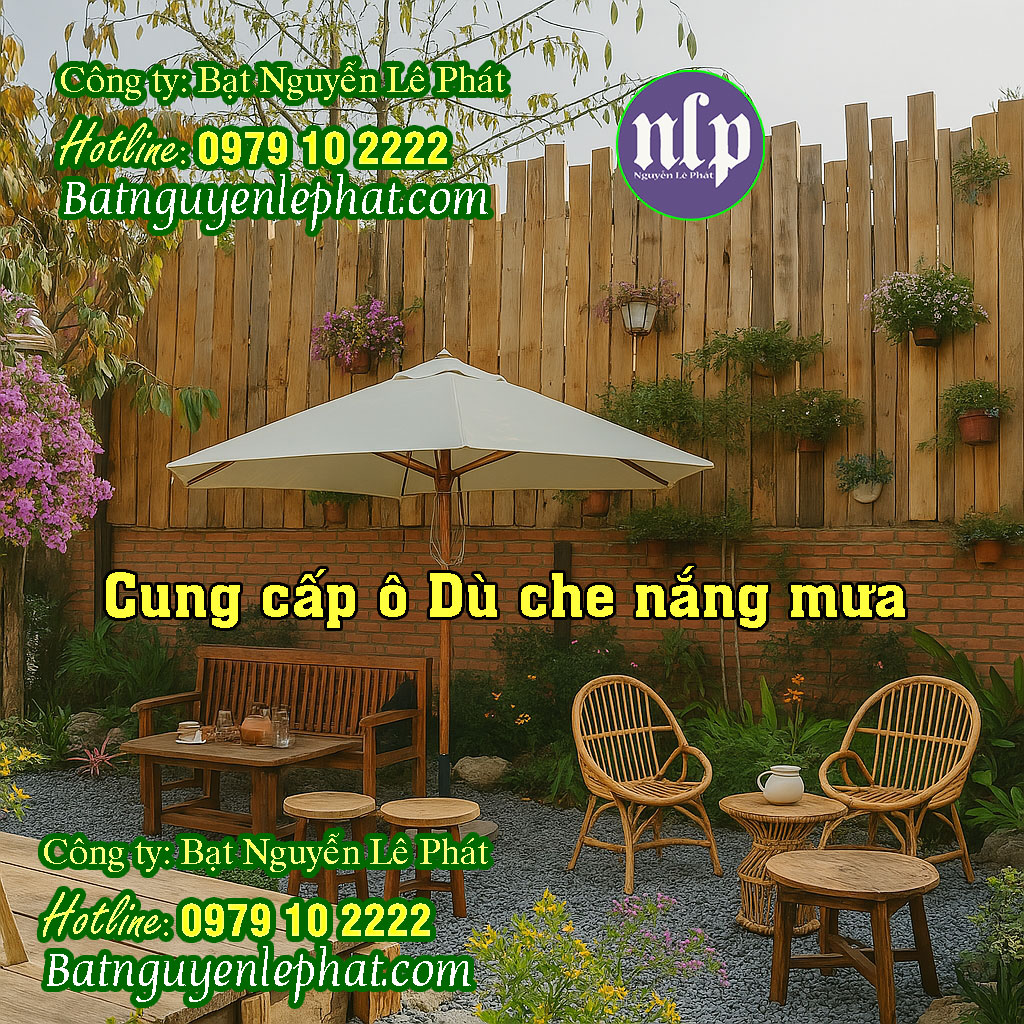 Mẫu Dù Che Nắng